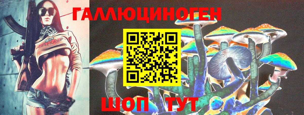 Королёв  Псилоцибиновые грибы MAGIC MUSHROOMS  Вход с VPN  Галлюциногенные грибы ЛСД 