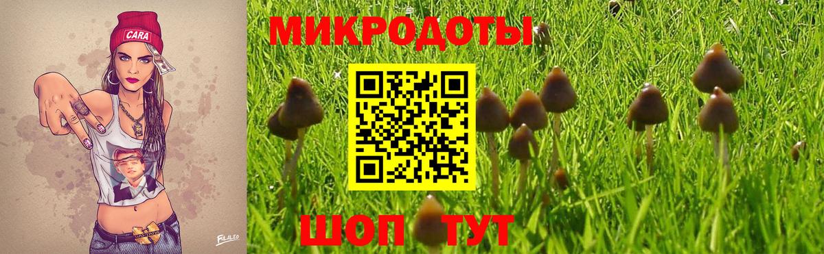Псилоцибиновые грибы Magic Shrooms Королёв